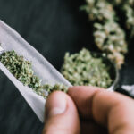 shutterstock_1005685891