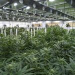 shutterstock_421629436-900×500-1